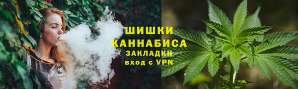 ГАЛЛЮЦИНОГЕННЫЕ ГРИБЫ Бородино