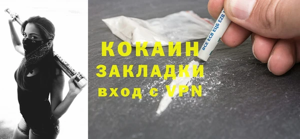 ГАЛЛЮЦИНОГЕННЫЕ ГРИБЫ Бородино