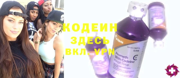 ГАЛЛЮЦИНОГЕННЫЕ ГРИБЫ Бородино