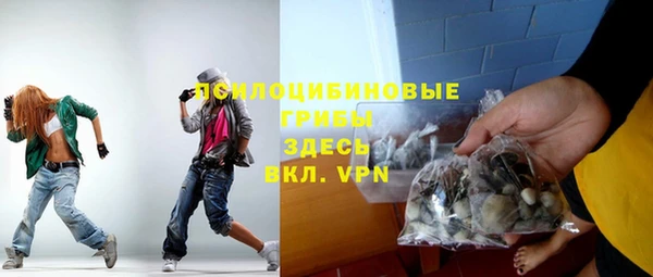 ГАЛЛЮЦИНОГЕННЫЕ ГРИБЫ Бородино
