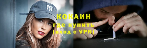 ГАЛЛЮЦИНОГЕННЫЕ ГРИБЫ Бородино