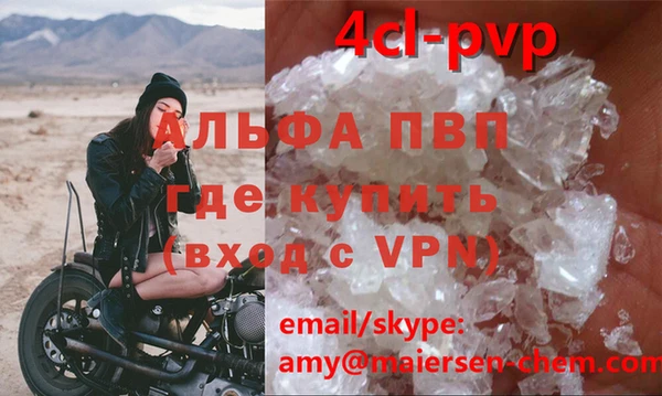 ГАЛЛЮЦИНОГЕННЫЕ ГРИБЫ Бородино