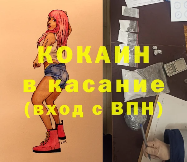 ГАЛЛЮЦИНОГЕННЫЕ ГРИБЫ Бородино