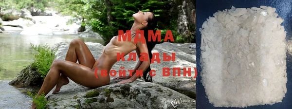 ГАЛЛЮЦИНОГЕННЫЕ ГРИБЫ Бородино